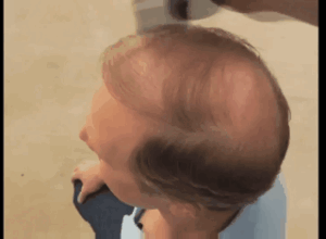 Toppik Gif 1